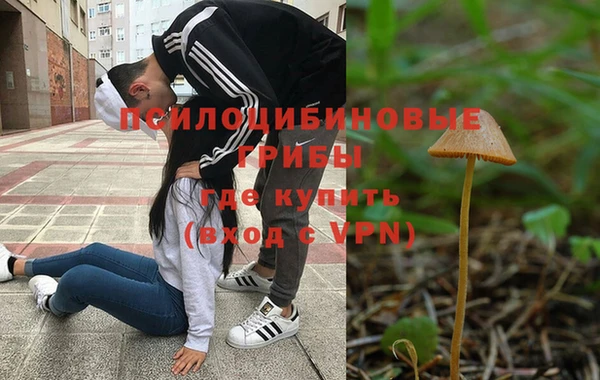 spice Белоозёрский