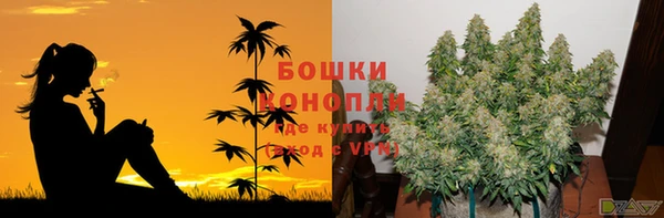 spice Белоозёрский