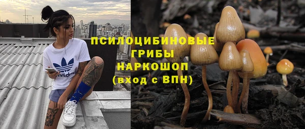 СК Остров