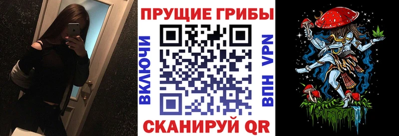 Галлюциногенные грибы прущие грибы  магазин продажи   Шадринск 