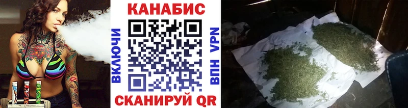 Канабис семена  где продают наркотики  гидра рабочий сайт  Шадринск 